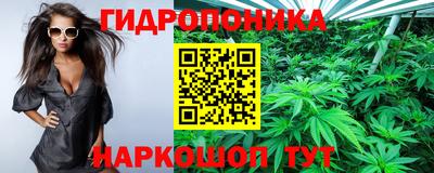 сатива Берёзовский
