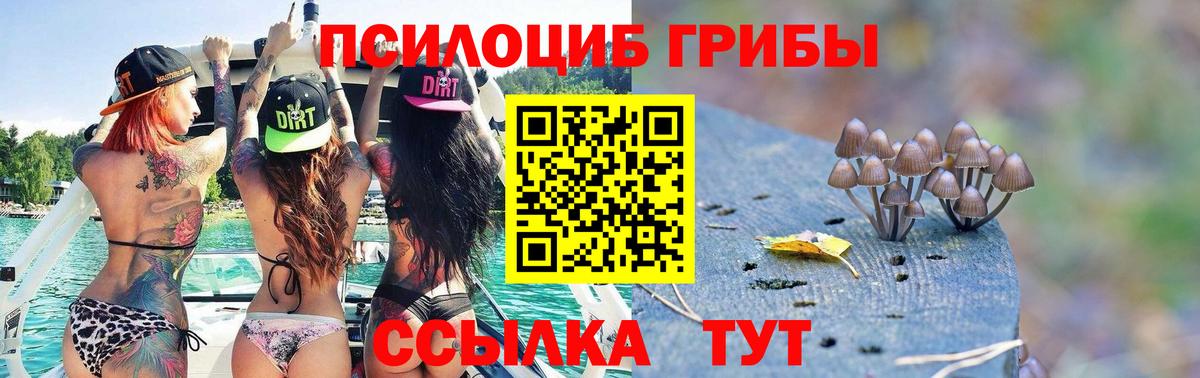 Ковров  Галлюциногенные грибы мухоморы  Вход с VPN 